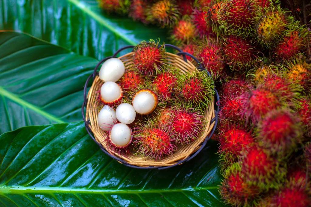 Health Benefits and Nutrition Facts of Rambutans